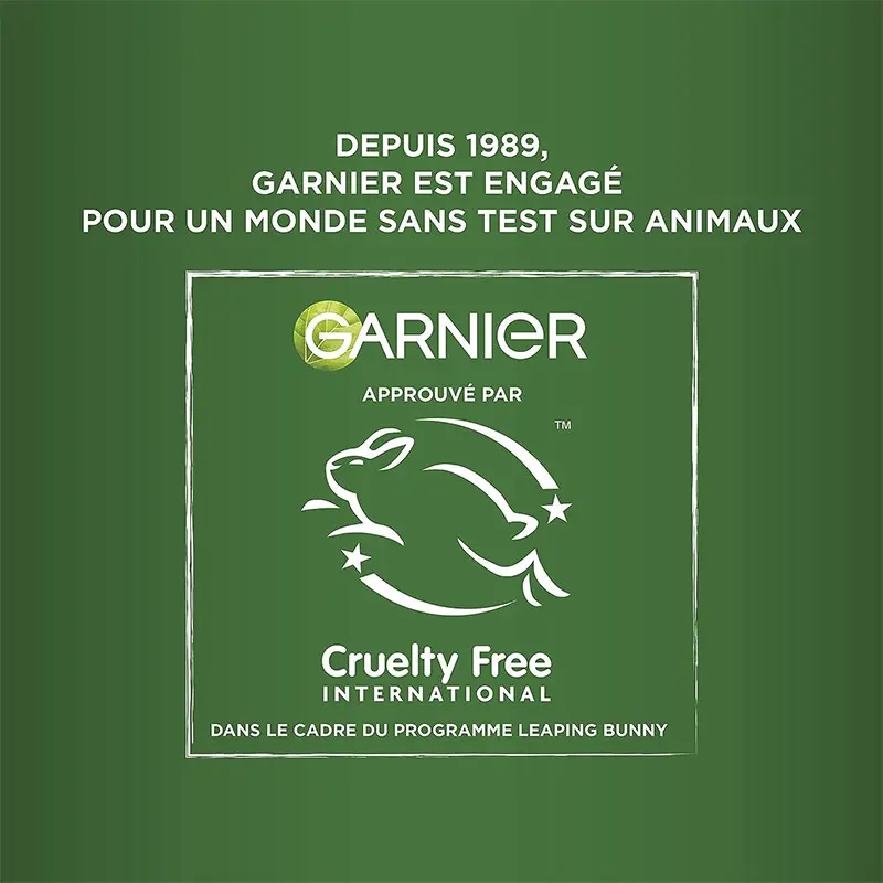 Garnier - Fructis Hair Food