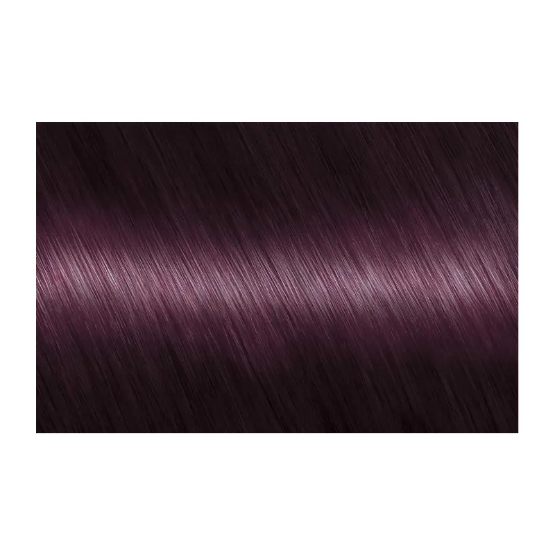 Garnier 100% Color - Violine Intense Violet 4.26