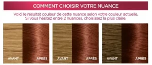 L'Oréal Paris Excellence Crème Acajou Cuivré (6,54)