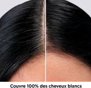 Revlon ColorStay Coloration Permanente, Couvre 100% Cheveux Blancs, N°3 Châtain Foncé Profond