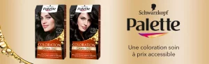 Schwarzkopf Palette Coloration Permanente Châtain Clair 600- Couvre 100% Cheveux Blancs