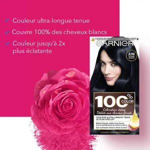 Garnier 100% Color - Ultra Brun 2,10 -Coloration Permanente