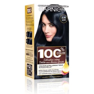 Garnier 100% Color - Ultra Brun 2,10 -Coloration Permanente