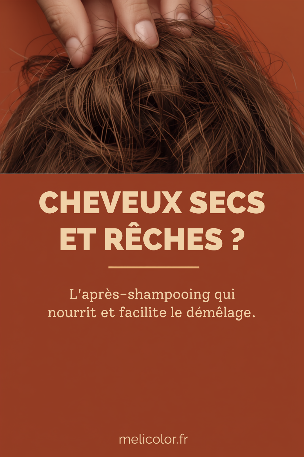 Epingle Pinterest Meli Color : cheveux secs et reches, quel apres-shampooing choisir