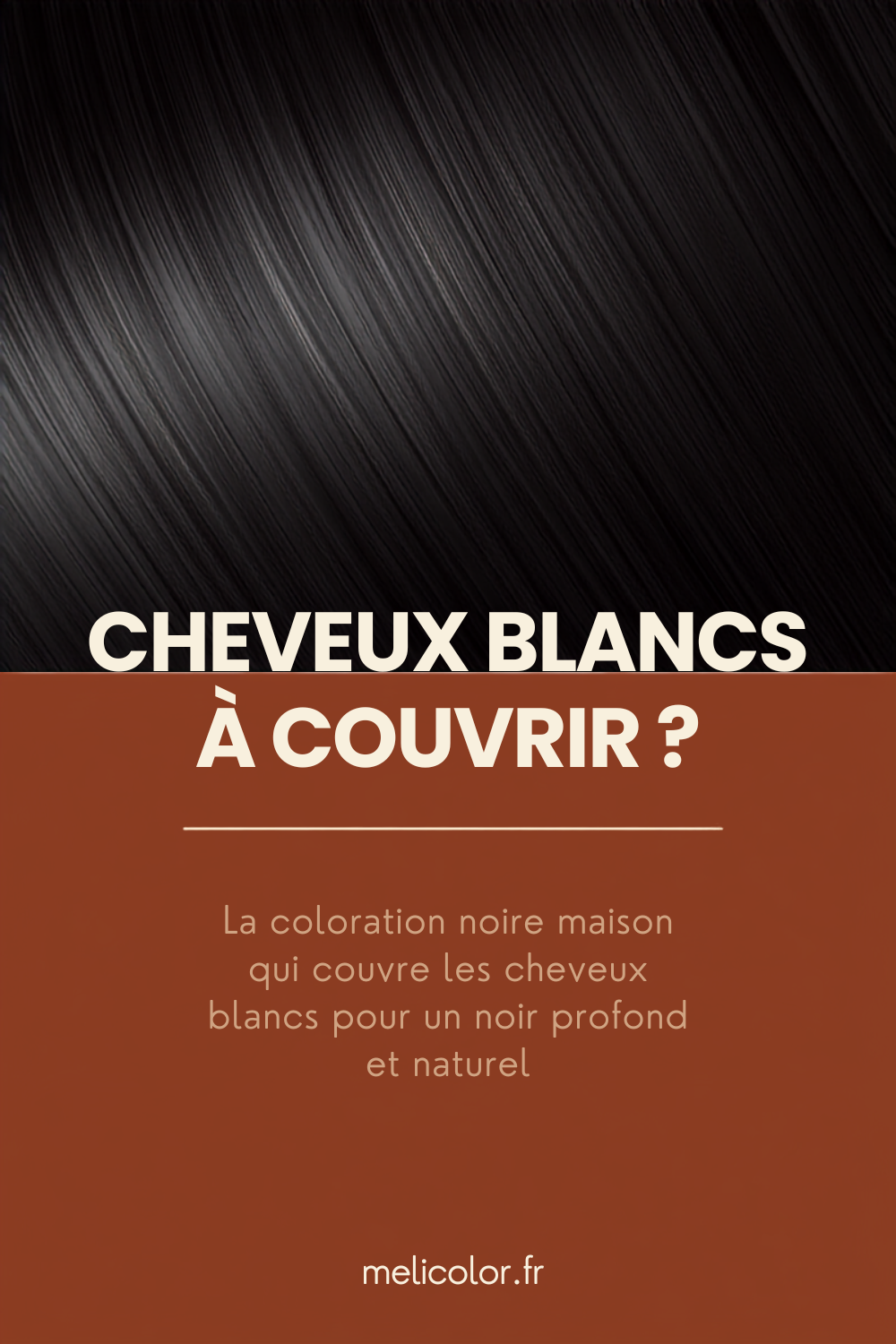 Epingle Pinterest Meli Color : cheveux blancs a couvrir, la coloration noire maison