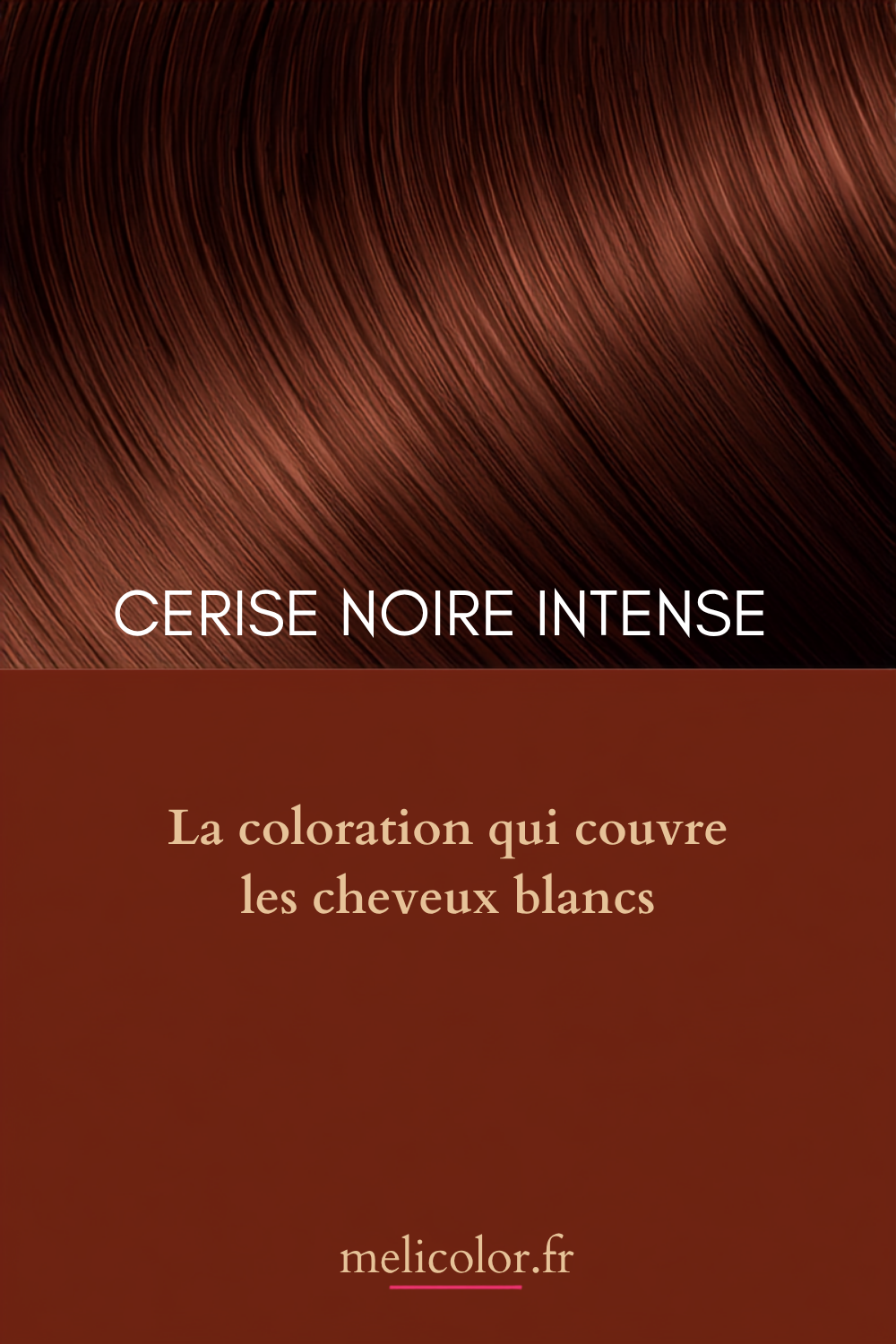 Schwarzkopf Brillance 888 Cerise Noire : la coloration intense qui illumine les cheveux foncés et couvre les cheveux blancs